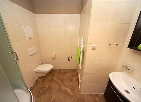 Dvorakova Guest house Brno