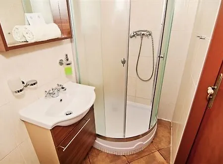Guest house Dvorakova 3*