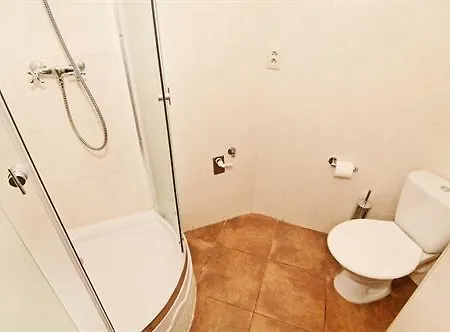 Dvorakova Guest house 3*