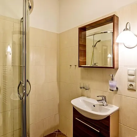 Dvorakova 3* Brno