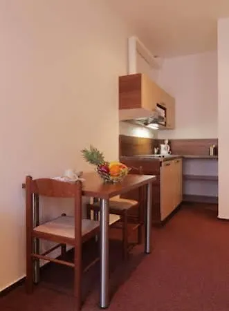 Dvorakova Guest house 3*