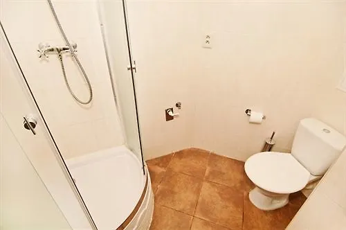 Dvorakova Pensjonat 3*