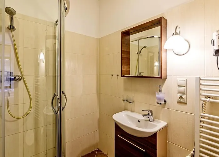 Dvorakova 3* Brno