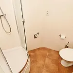 Dvorakova Gasthuis 3*