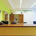 Dvorakova Brno