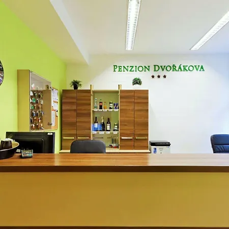 Dvorakova Brno