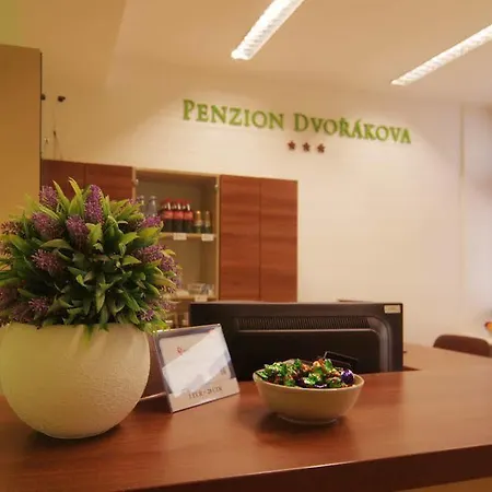 Pensionat Dvorakova Brno