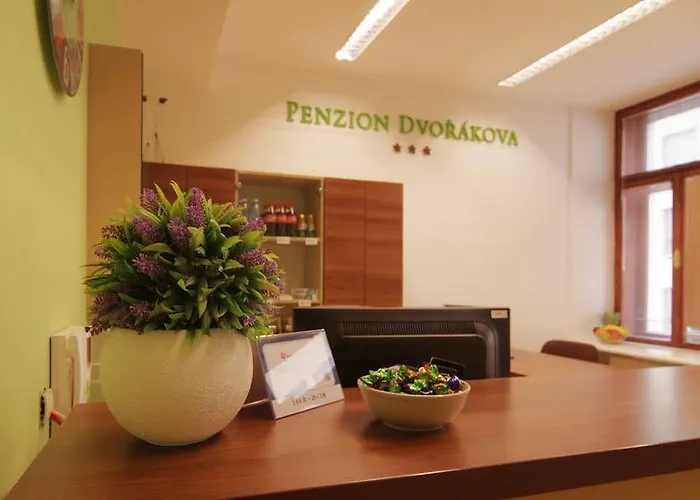 Pensionat Dvorakova Brno